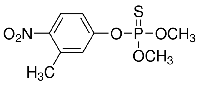 乙腈中殺螟硫磷溶液，100μg/mL